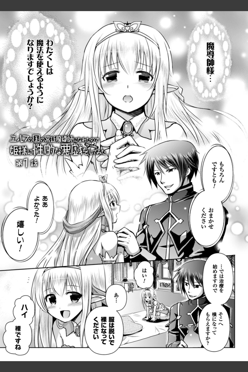 エルフの国の宮廷魔導師になれたので姫様に性的な悪戯をしてみた THE COMIC