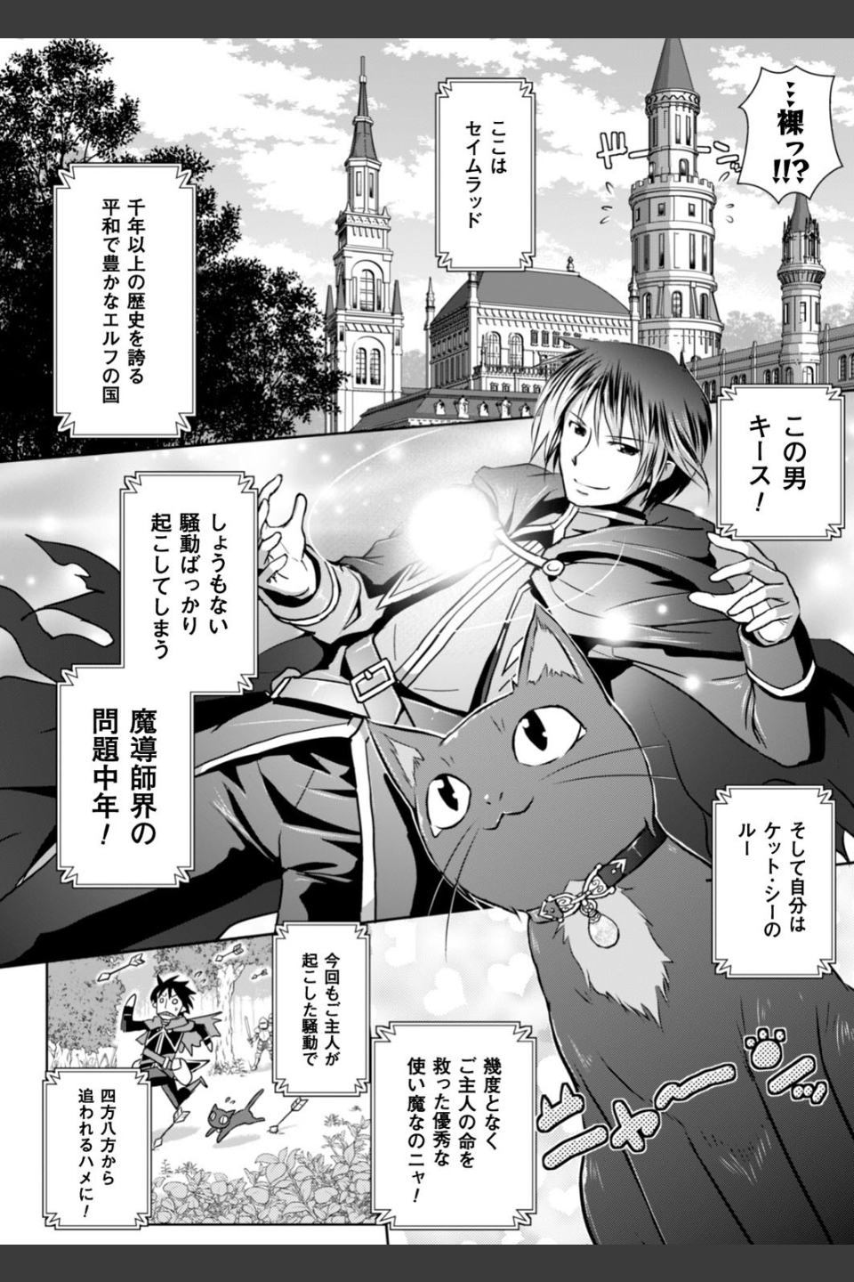 エルフの国の宮廷魔導師になれたので姫様に性的な悪戯をしてみた THE COMIC