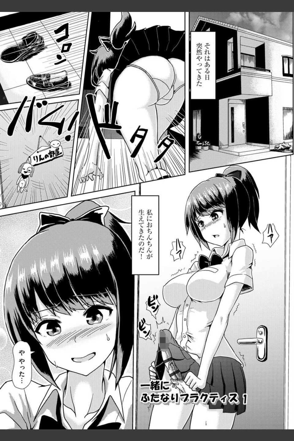 ふたプラ 〜一緒にふたなりプラクティス〜