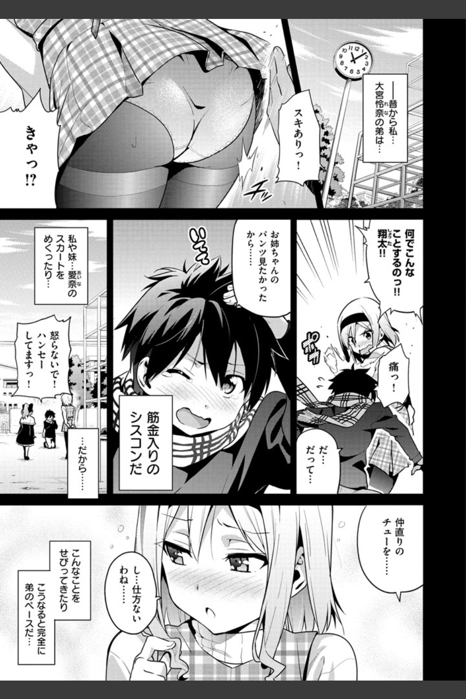 シスターブリーダー