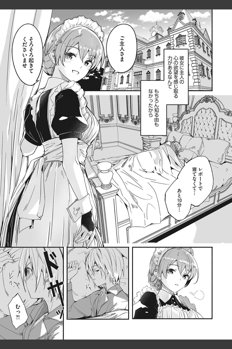 レイカは華麗な僕のメイド