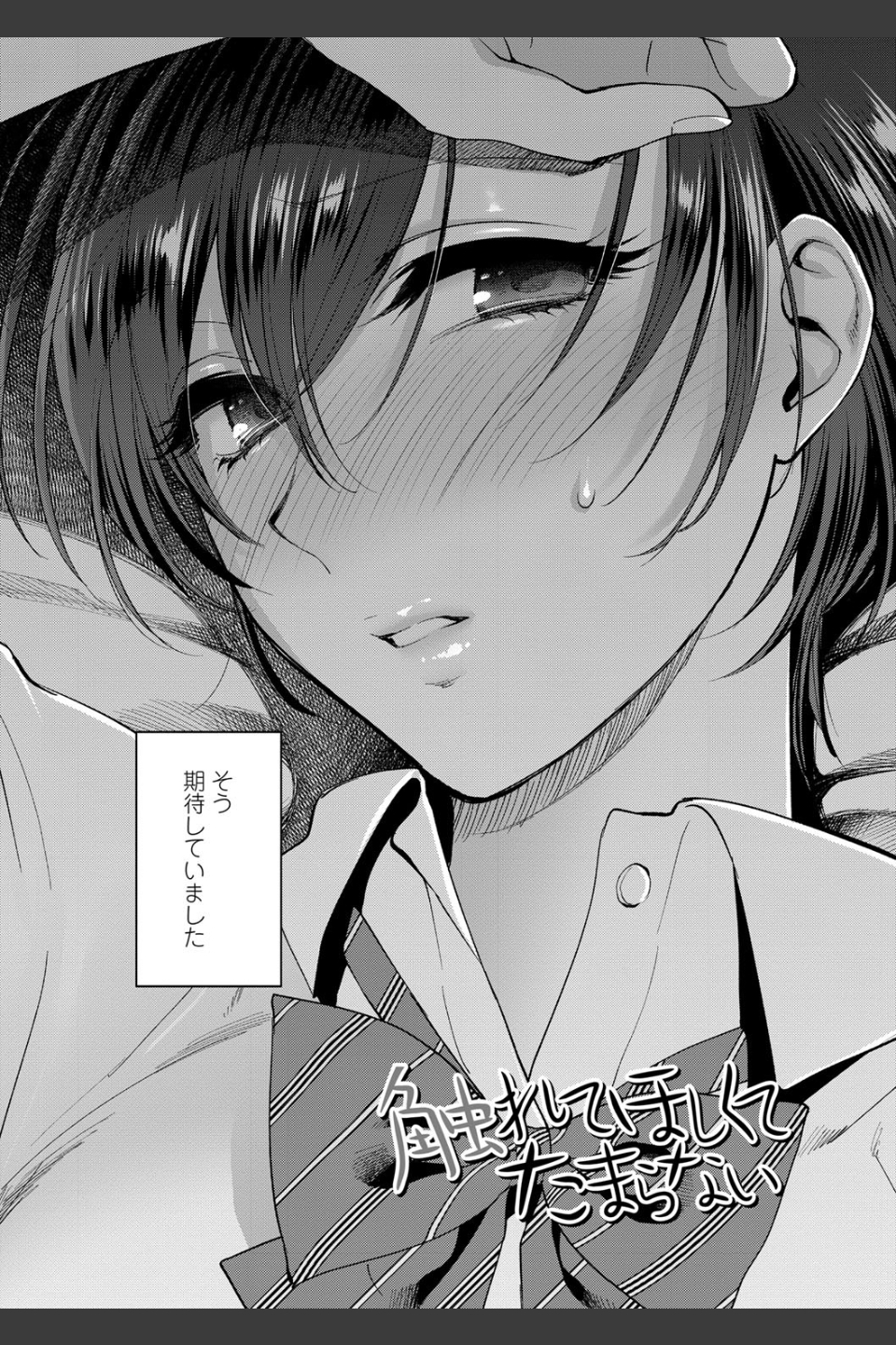ふれてほしくて たまらない【FANZA限定特典付き】