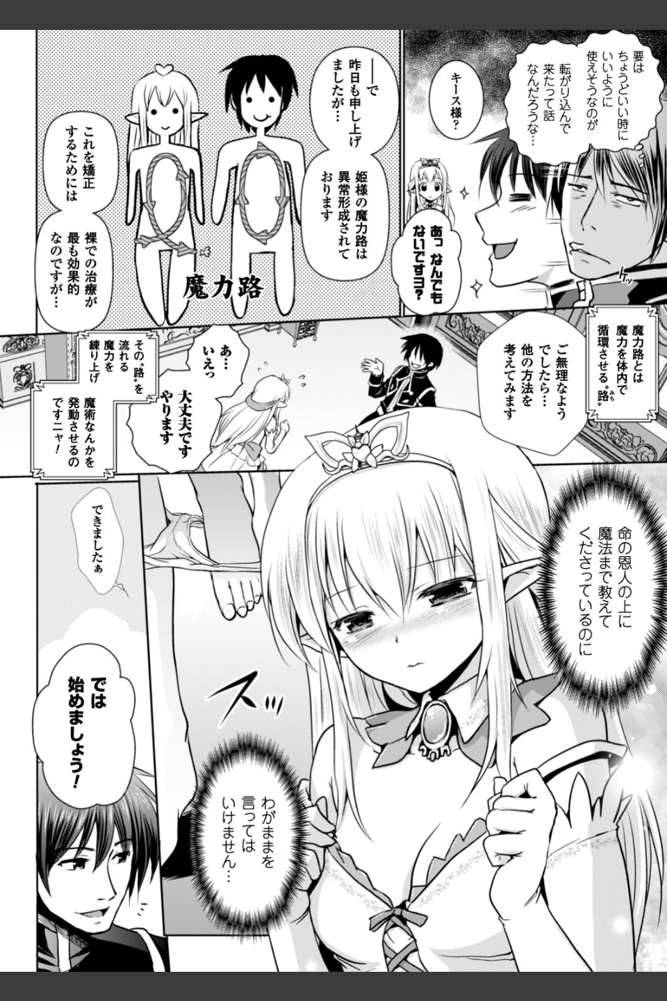 エルフの国の宮廷魔導師になれたので姫様に性的な悪戯をしてみた THE COMIC