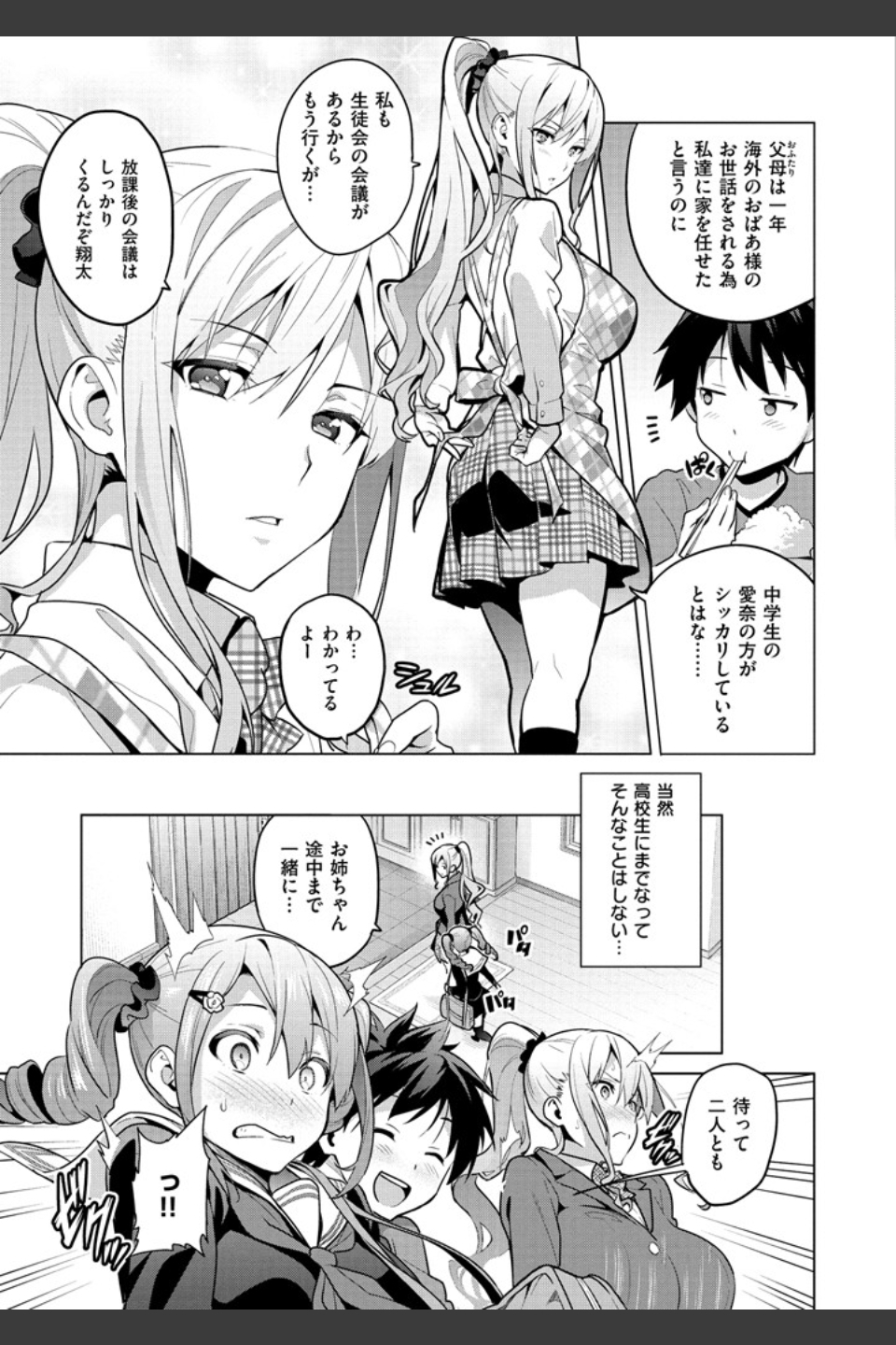 シスターブリーダー