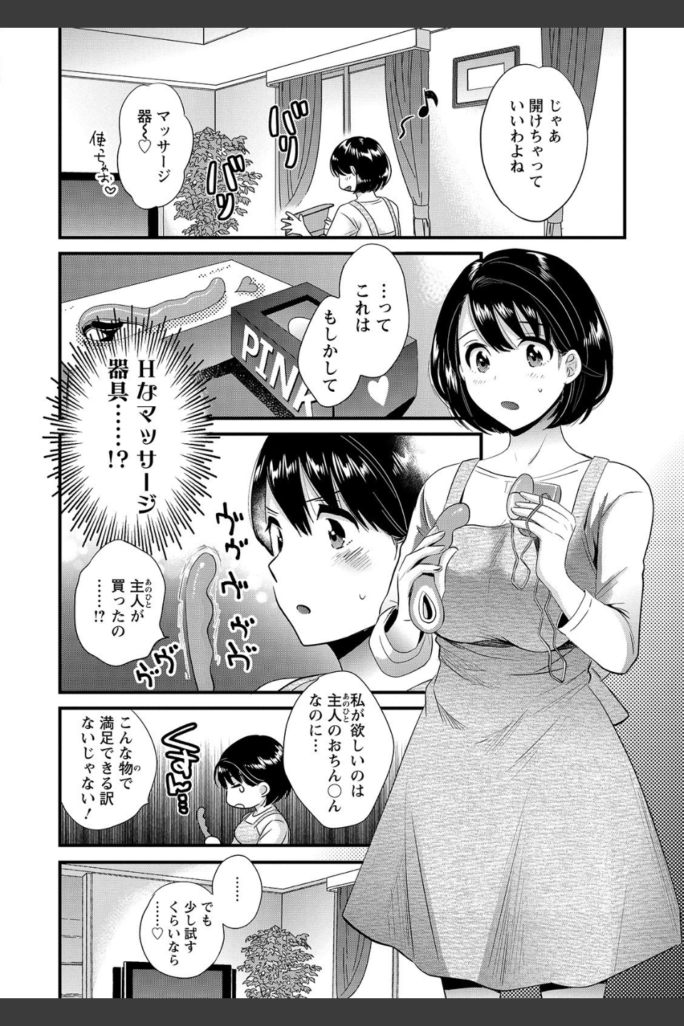 主人には内緒