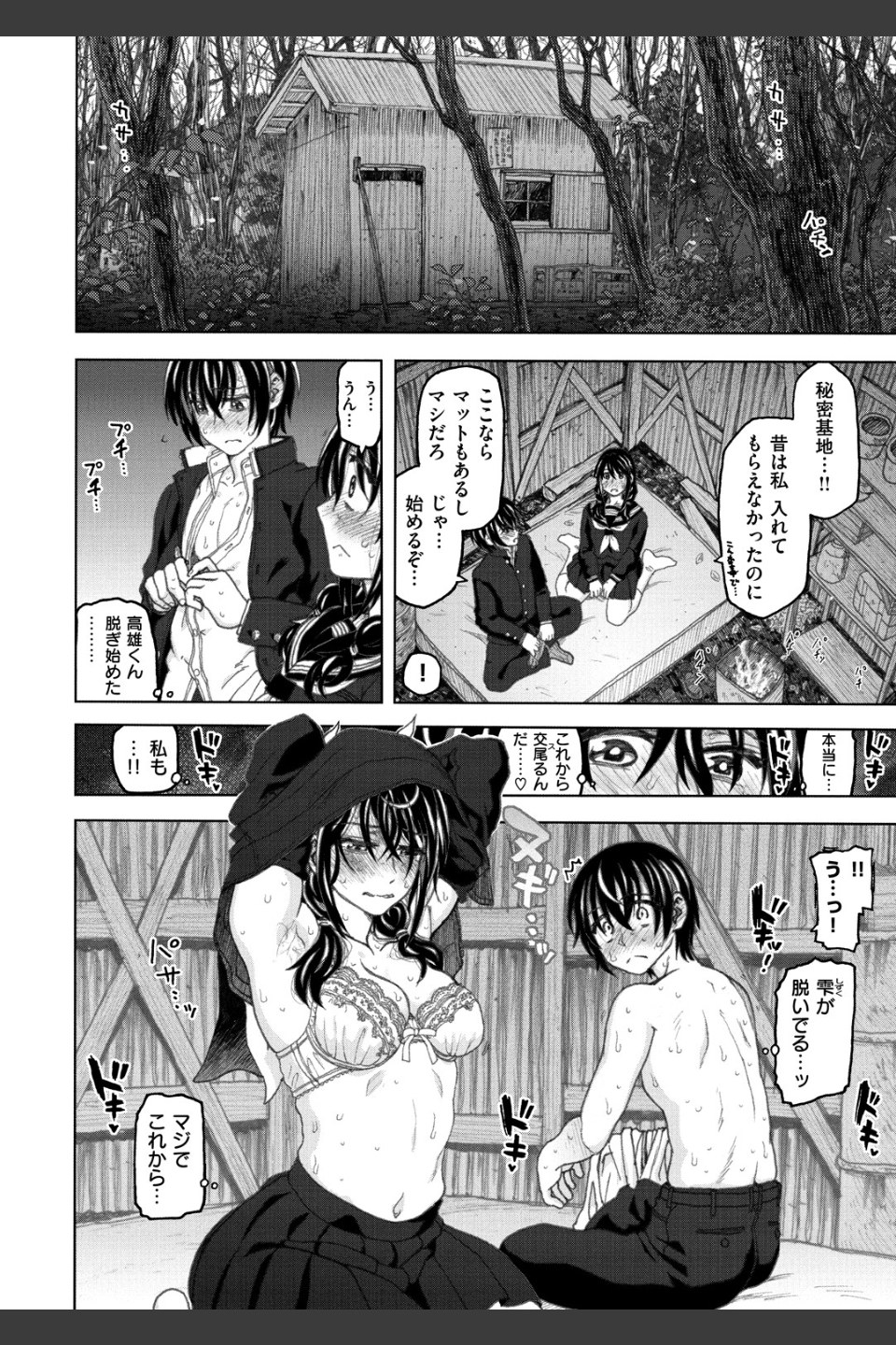 交尾の時間