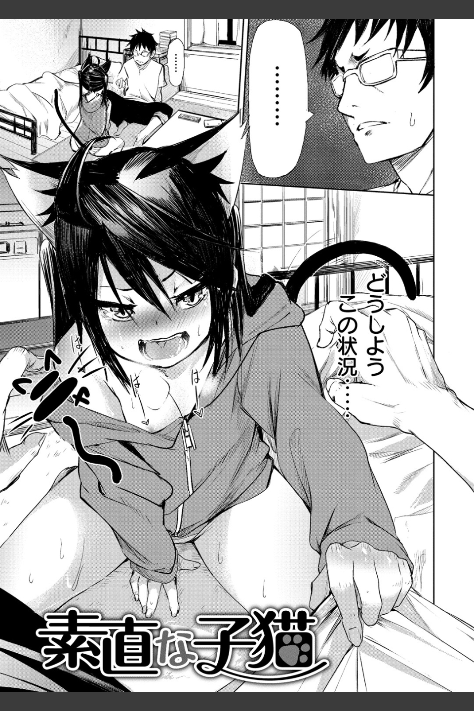 そふと あんど うぇっと