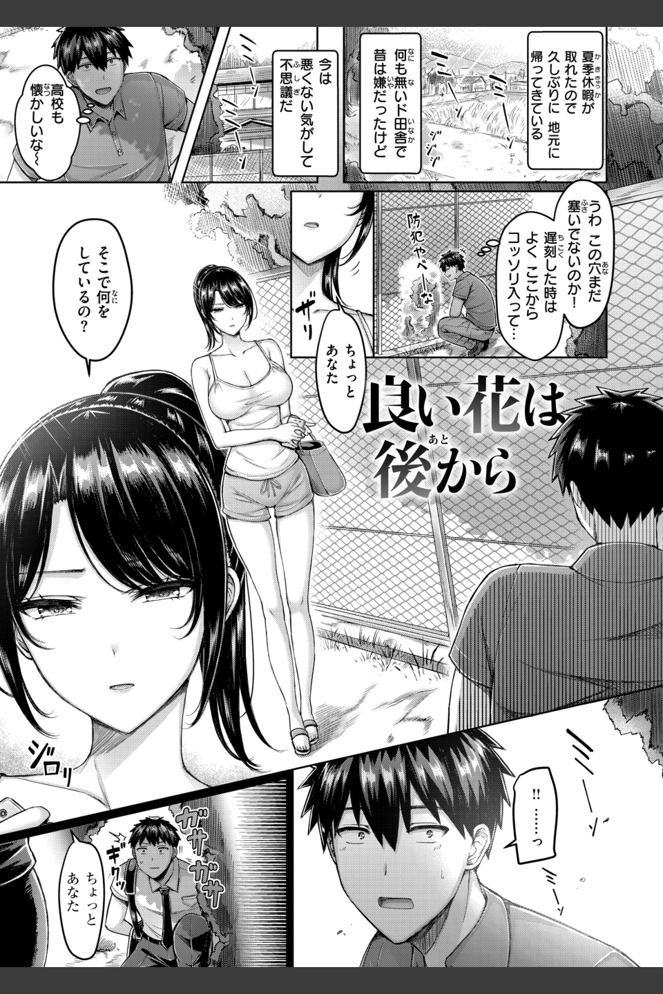 パイらびゅ！
