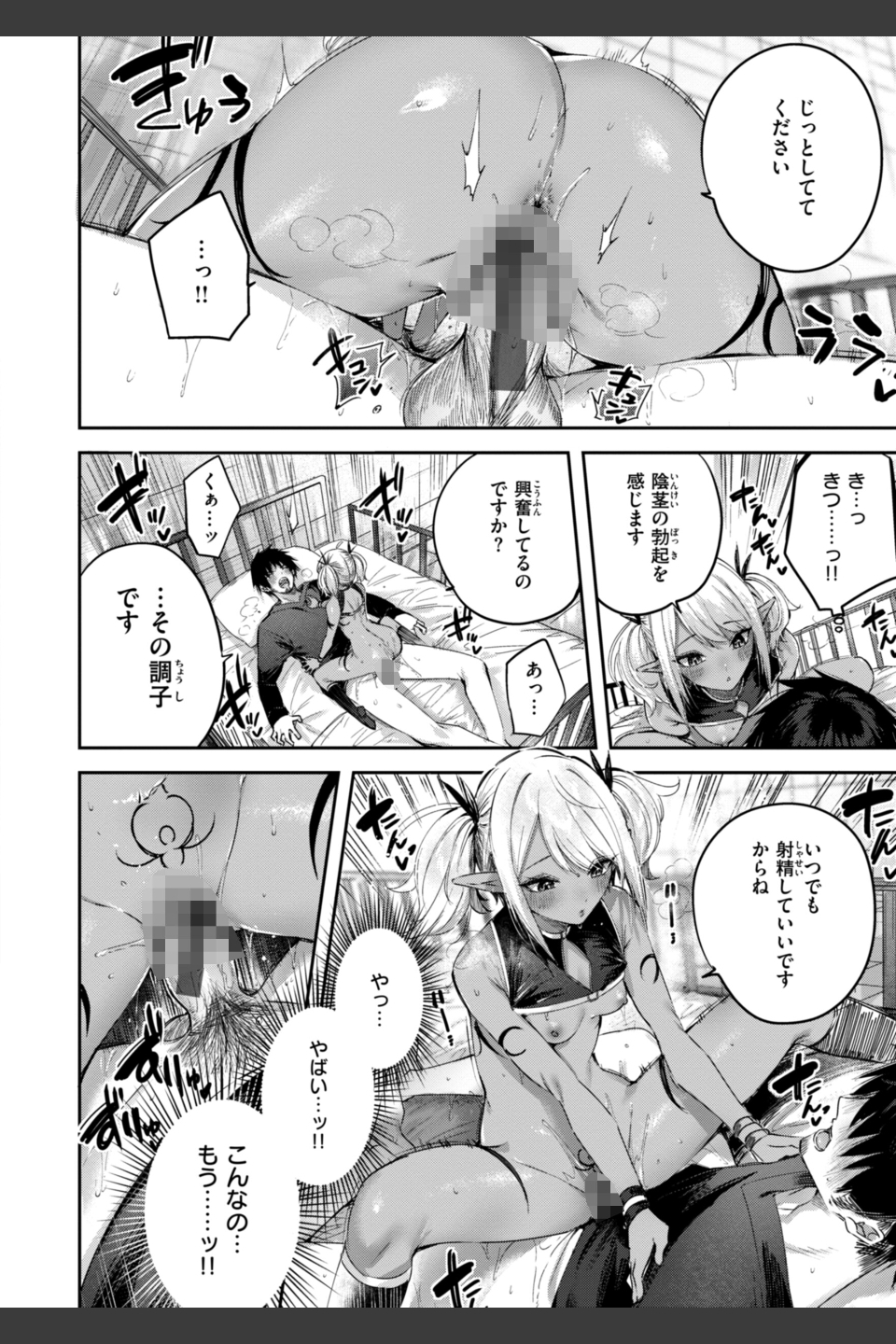 独身ハンターの出逢いはエルフの森で【単行本版】