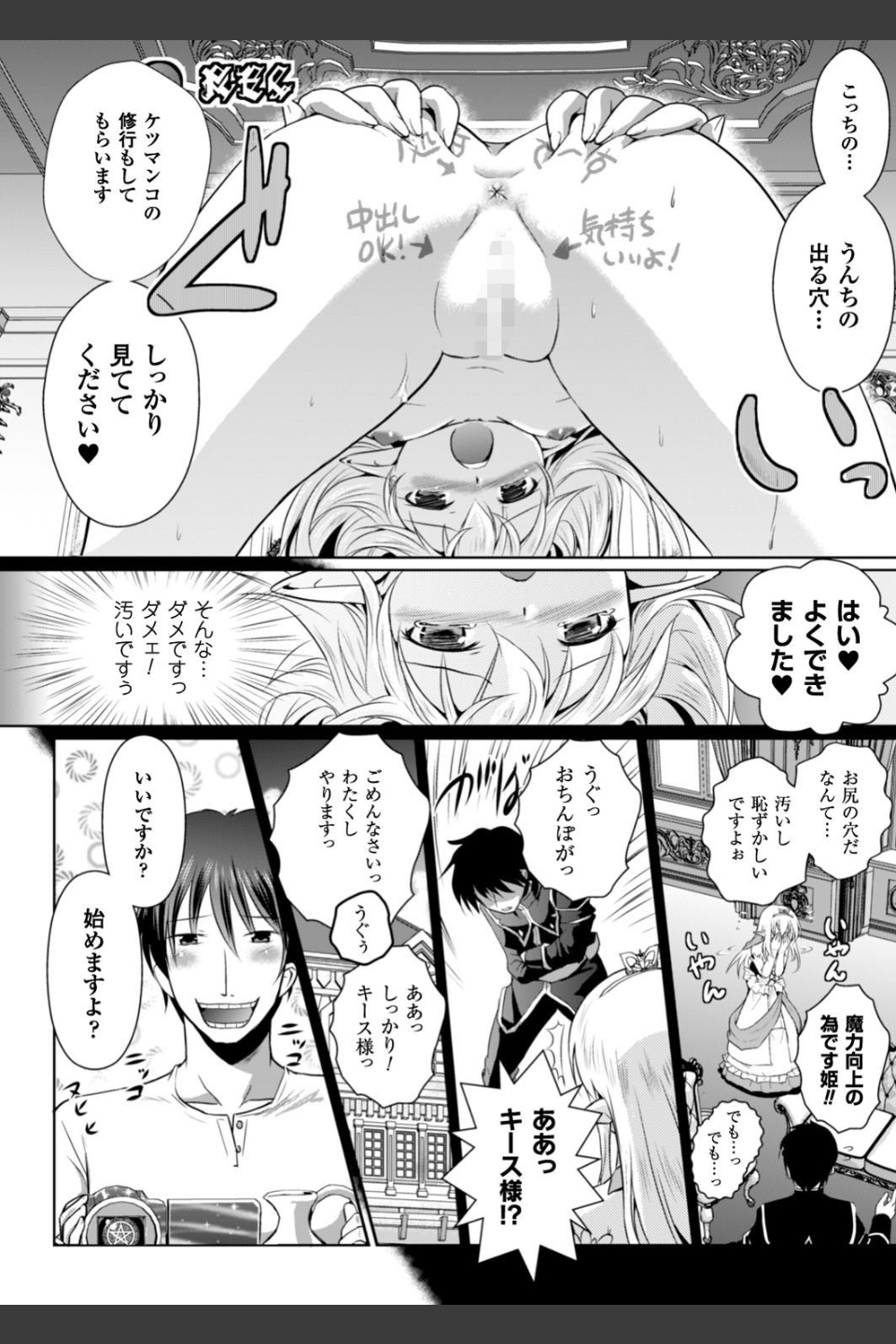 エルフの国の宮廷魔導師になれたので姫様に性的な悪戯をしてみた THE COMIC