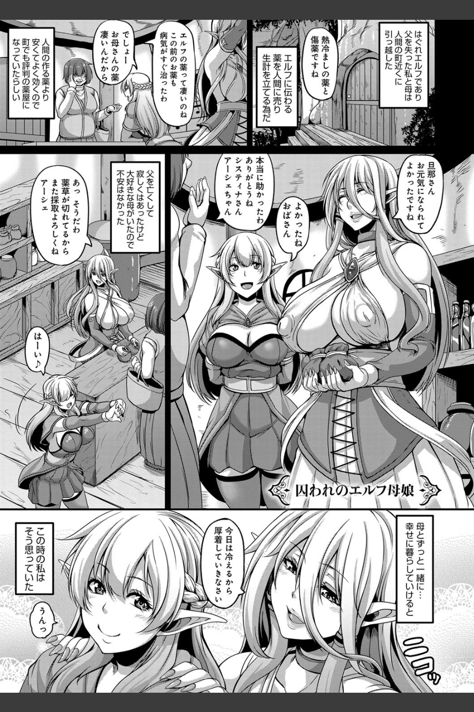愛嬢の淫辱エルフ
