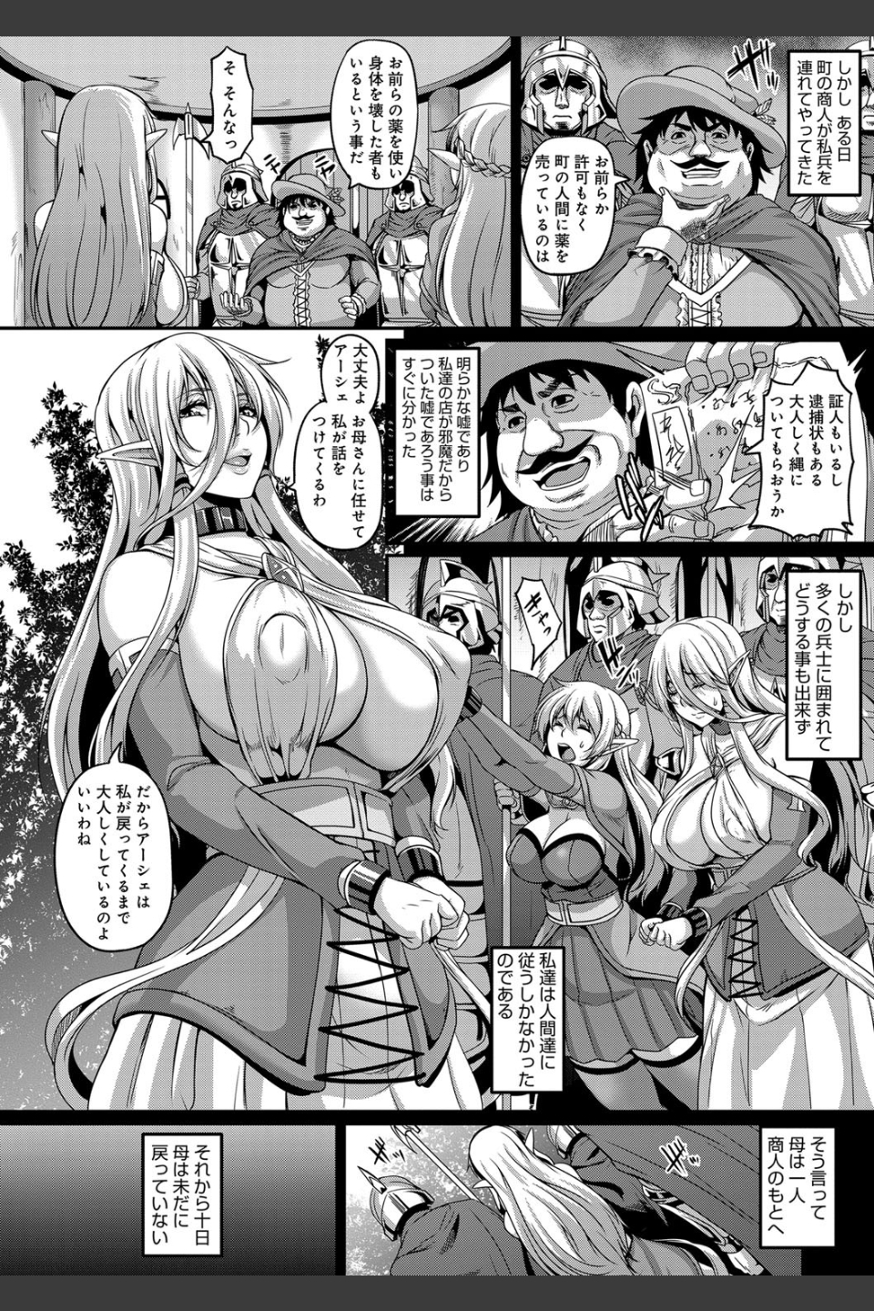 愛嬢の淫辱エルフ