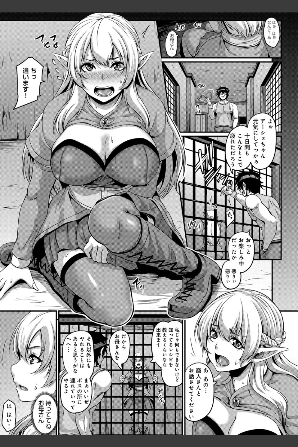 愛嬢の淫辱エルフ
