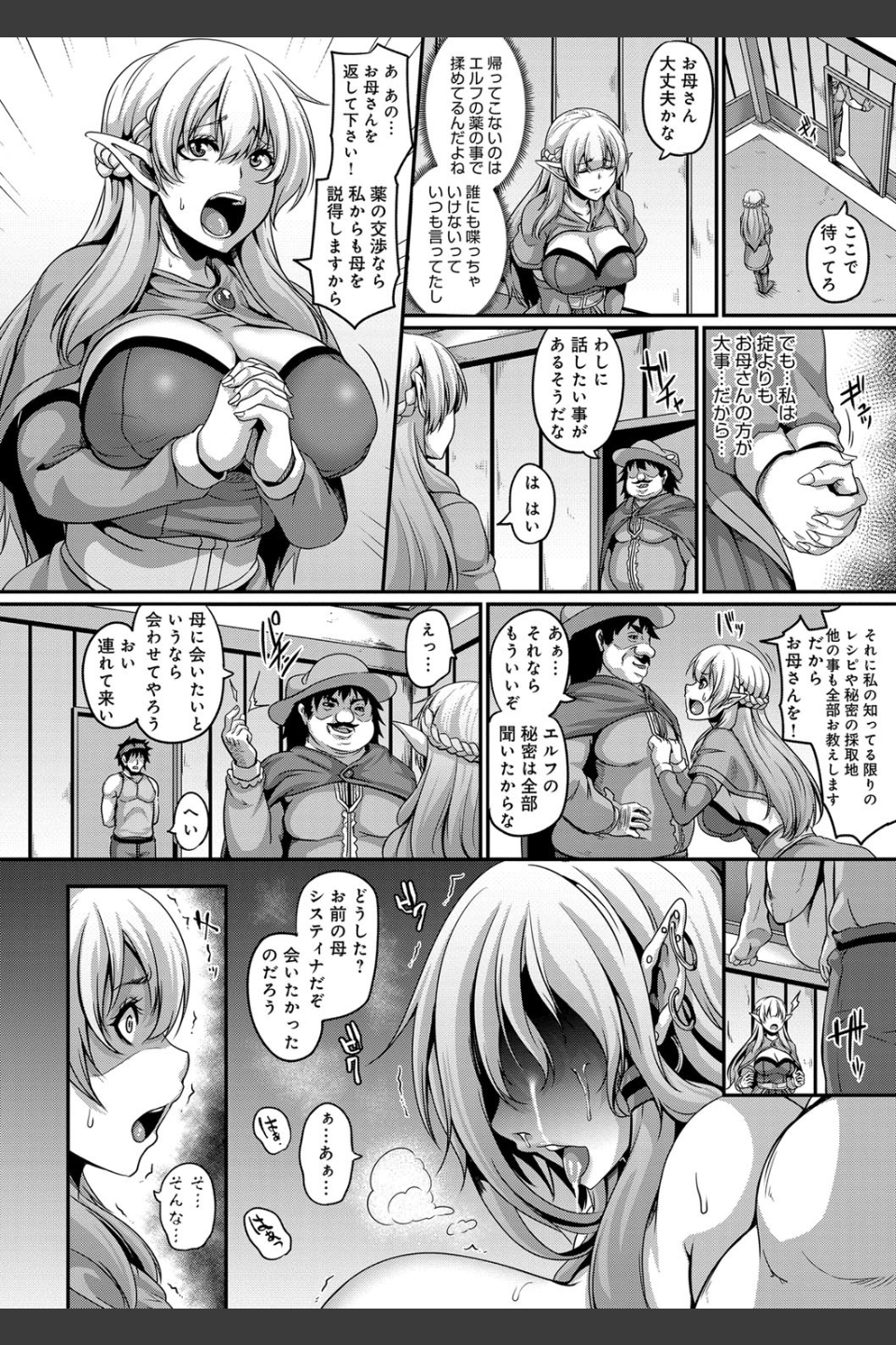 愛嬢の淫辱エルフ