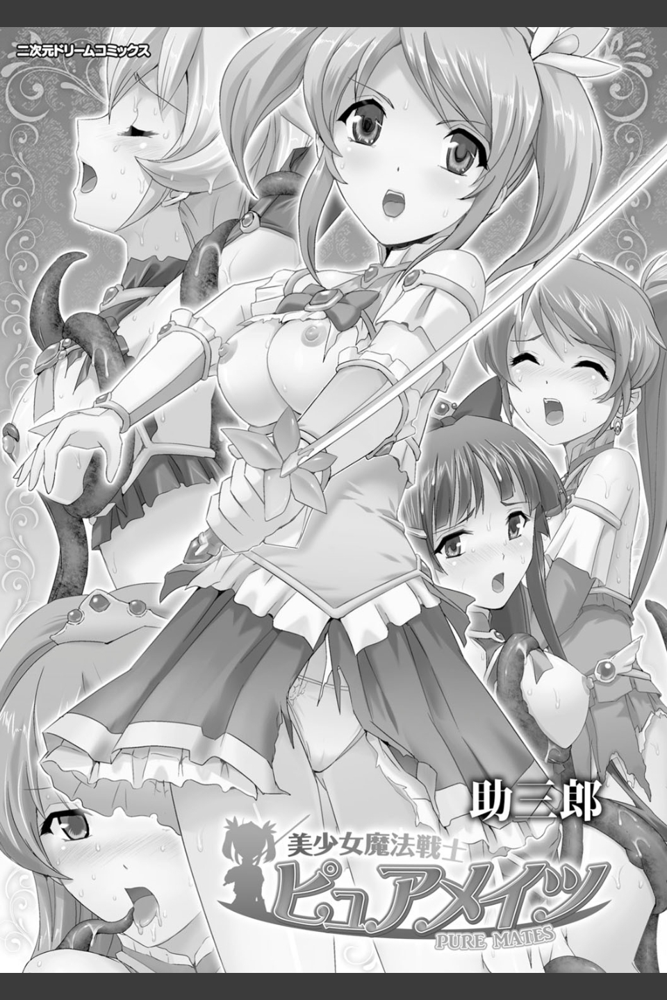 美少女魔法戦士ピュアメイツ