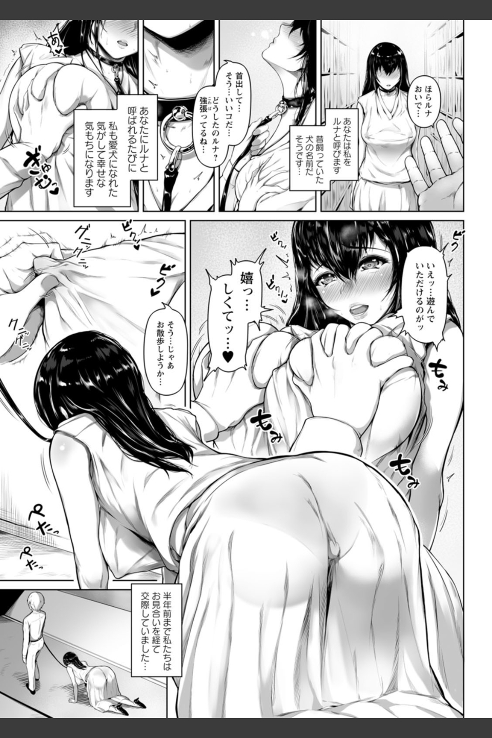ペットの品格