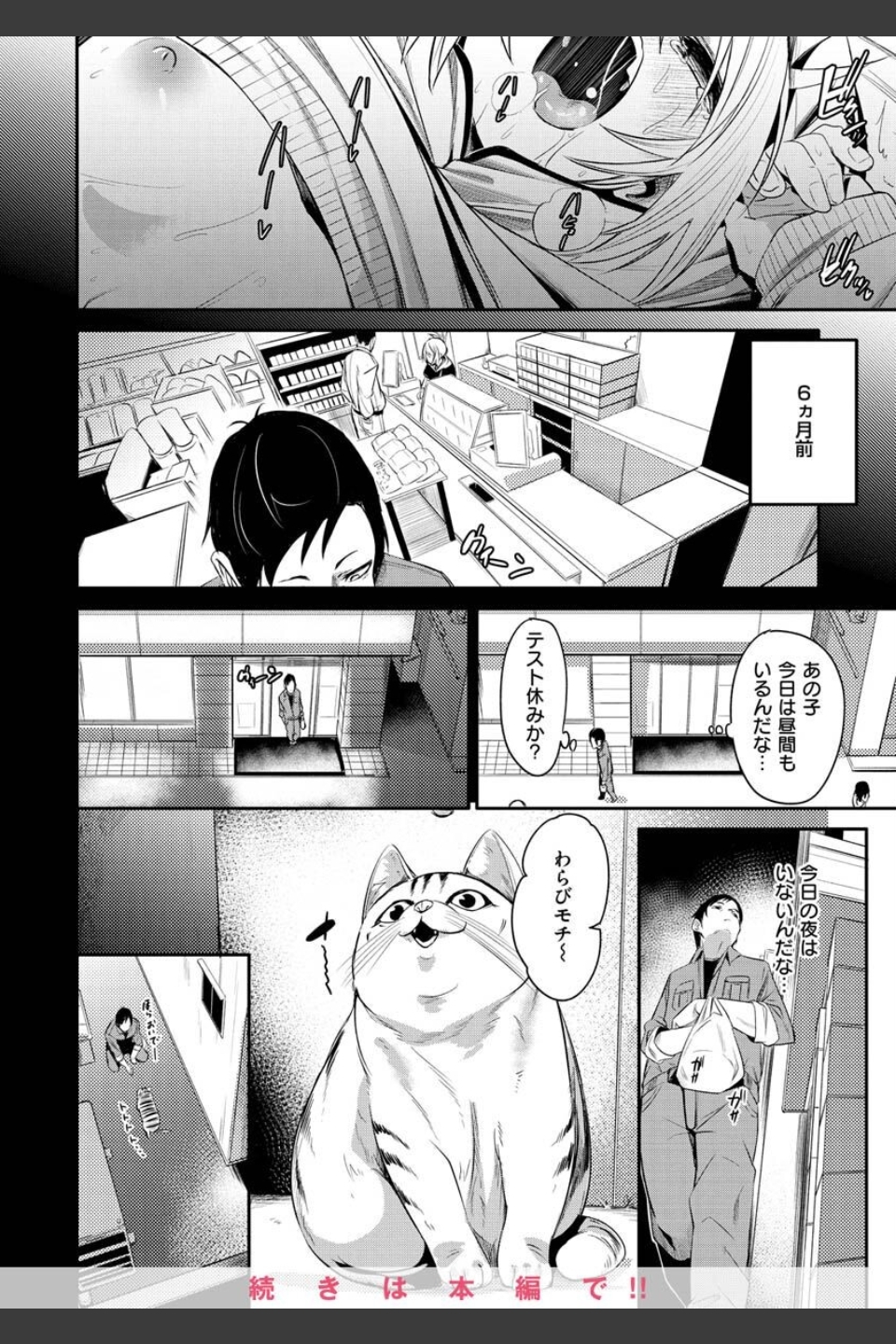 うぇっとどりーむ