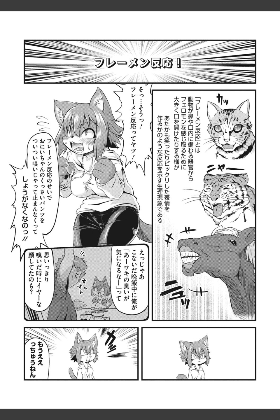 もももけものも ★壁紙おまけつき